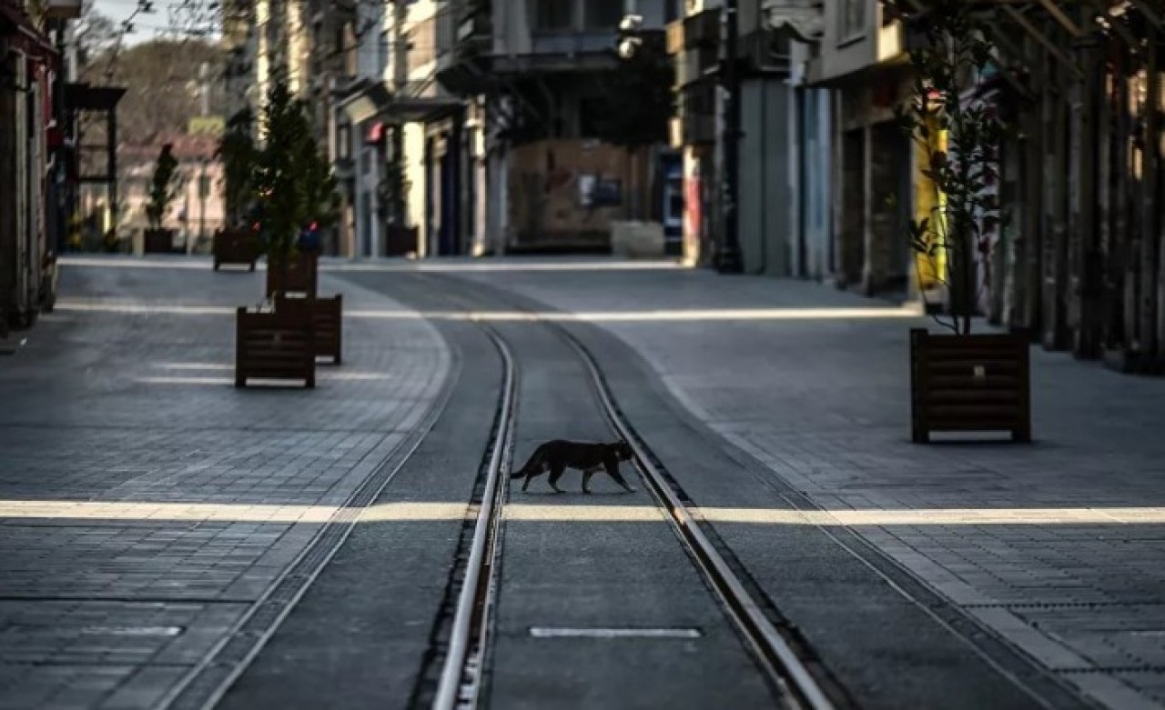 Ramazan Bayramı'nda sokağa çıkma yasağı olacak mı?
