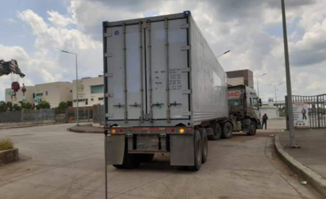 Sokaklarda cesetler birikti,  evlerinden alınmayan 400’den fazla ceset var