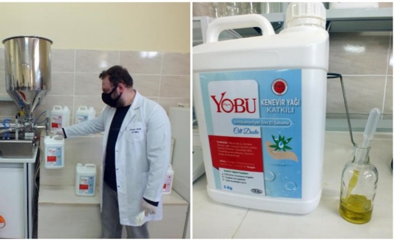 Türkiye'de kenevir esanslı antibakteriyel sıvı sabun üretildi