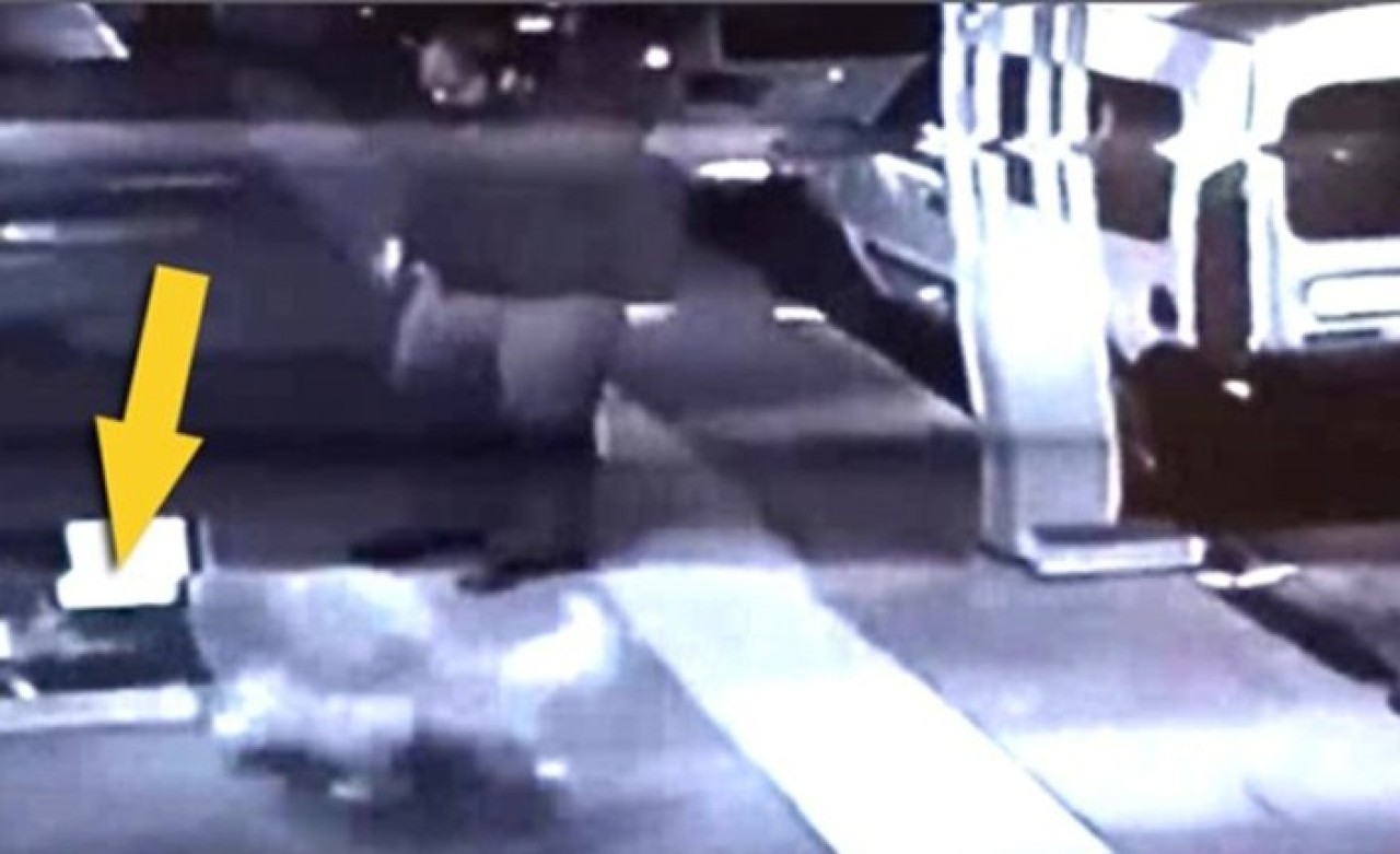 Yeni doğum yapmış kedi yuvasına köpeği saldırttı,  yetmedi tekmeledi