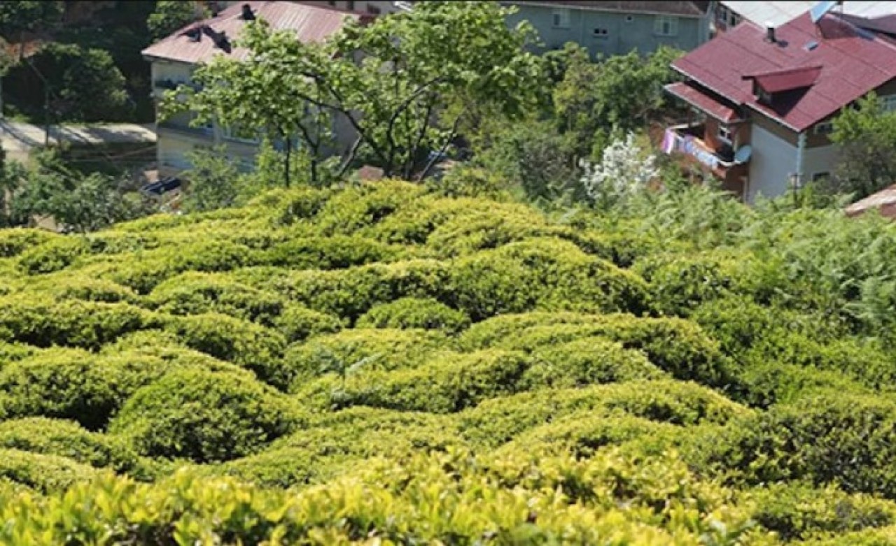 6900 TL maaşla 2 bin işçi aranıyor!