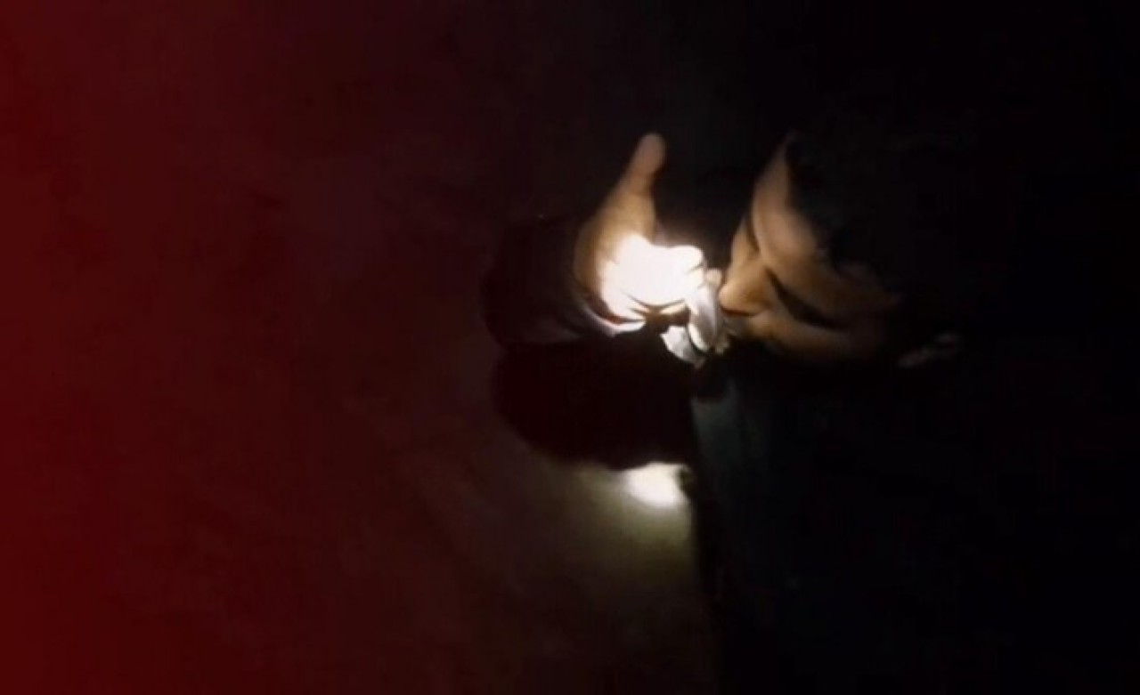 Görüntüler Türkiye’den! Mağaraya girip yarasayı öptü