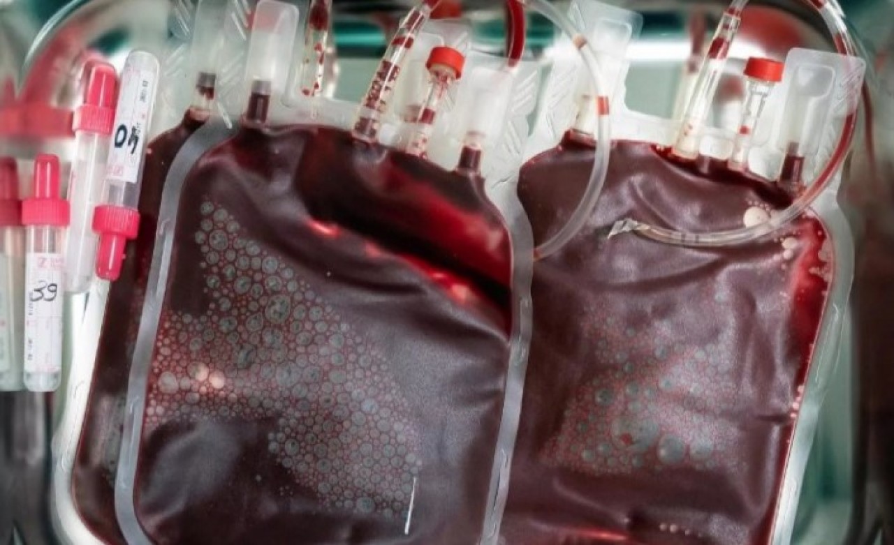 İyileşen koronavirüs hastalarının kanları yasa dışı internet sitelerinde satışa çıktı