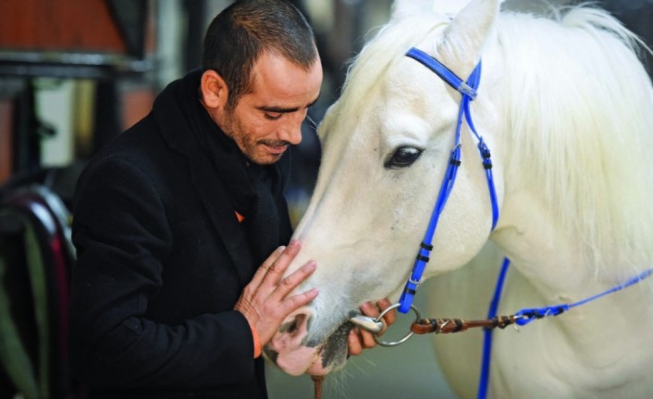 Jokey Selim Kaya'dan uyarı: Süreç uzarsa atlar ölür!