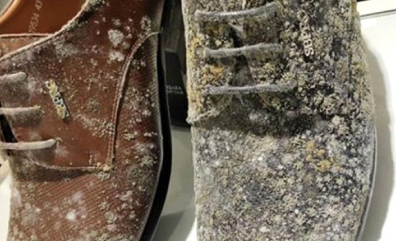 Koronavirüs nedeniyle kapalı olan mağazadaki ayakkabı ve çantalar küflendi