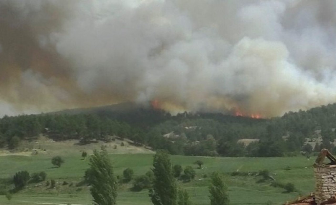 Turistik bölgelerde yangın mevsimi başladı: Bodrum açılışı yaptı!