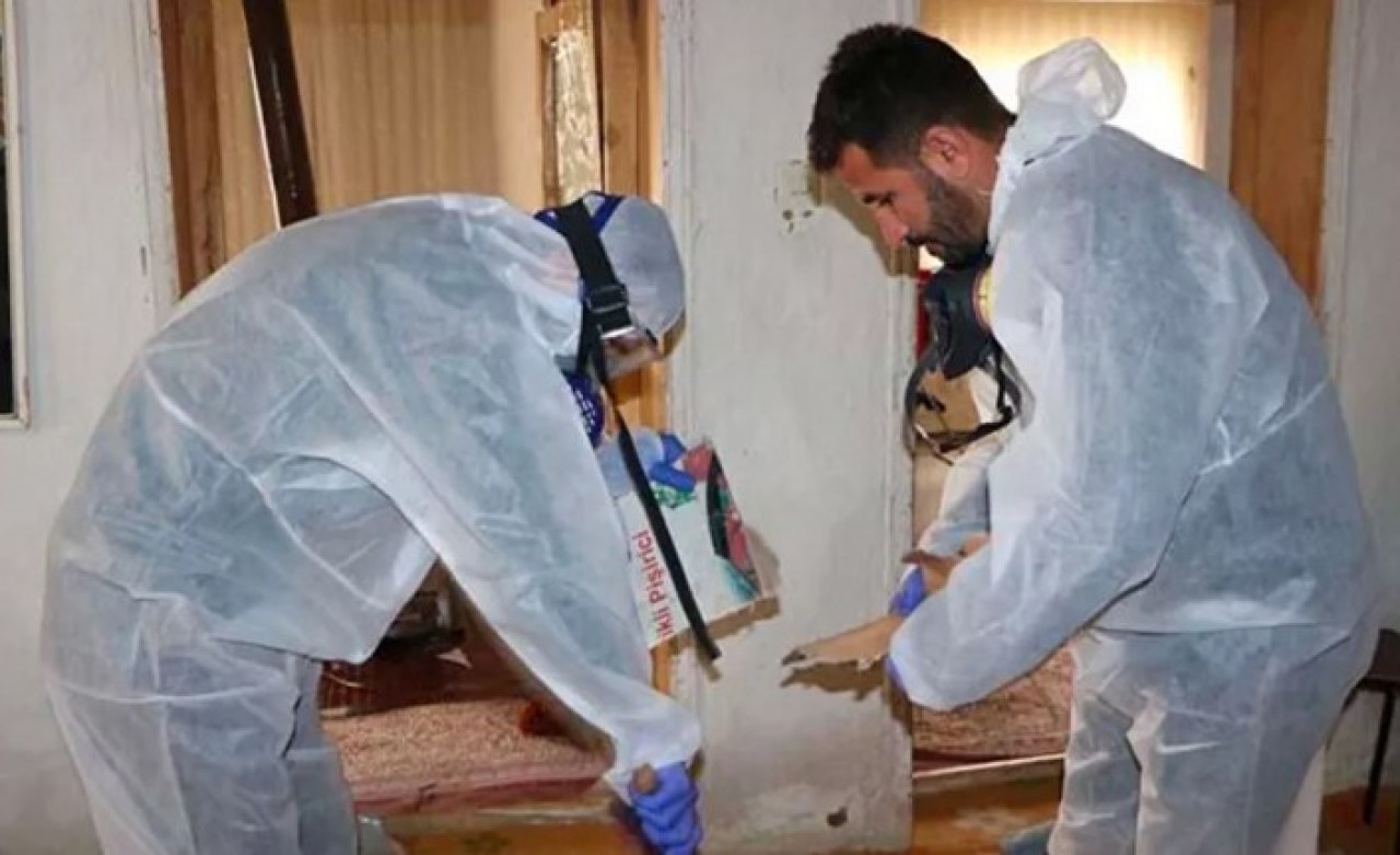 Hakkari'de yaşayan ailenin evinden 20 yılan çıktı!