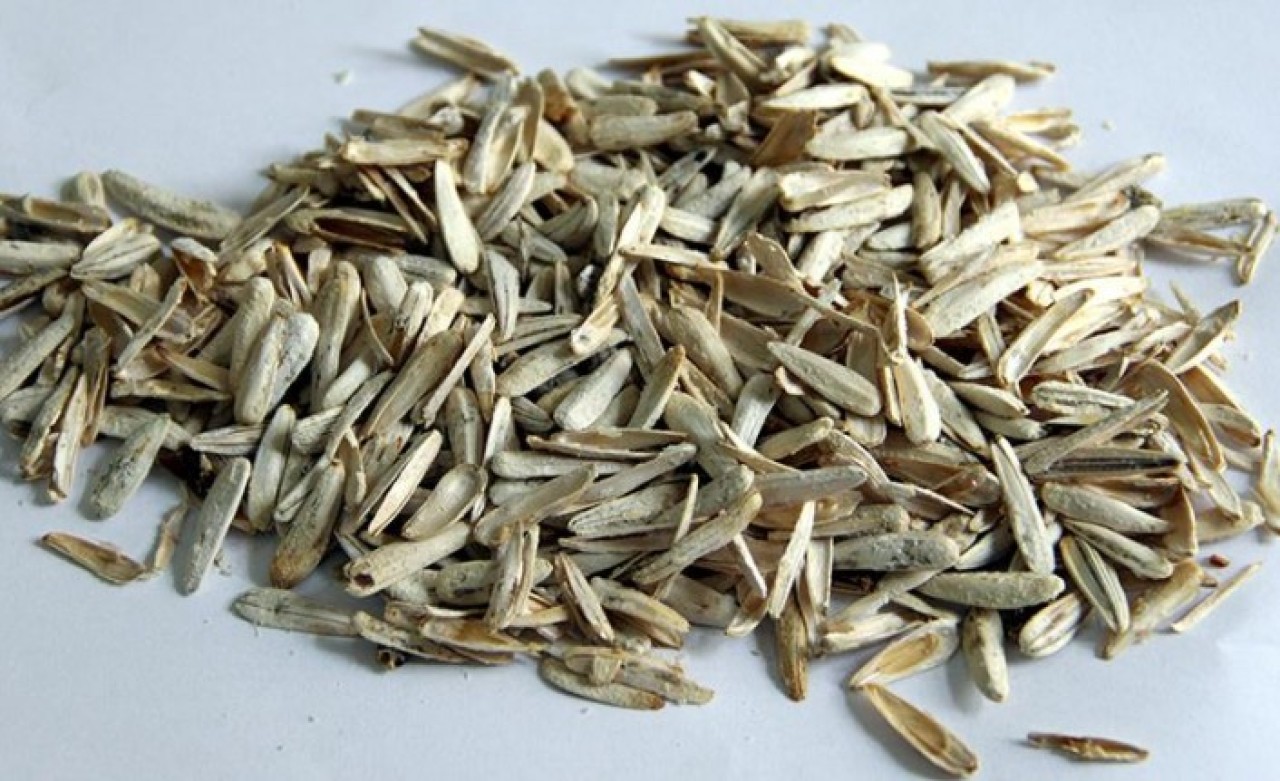 Çekirdekte bulunan katkı maddesi kansere yol açabilir