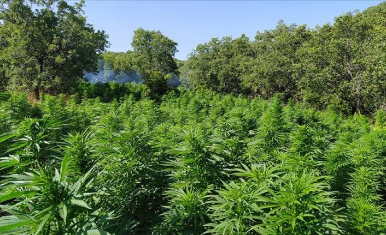 Diyarbakır'da dev operasyon! Tek seferde yakalanan en büyük miktar oldu