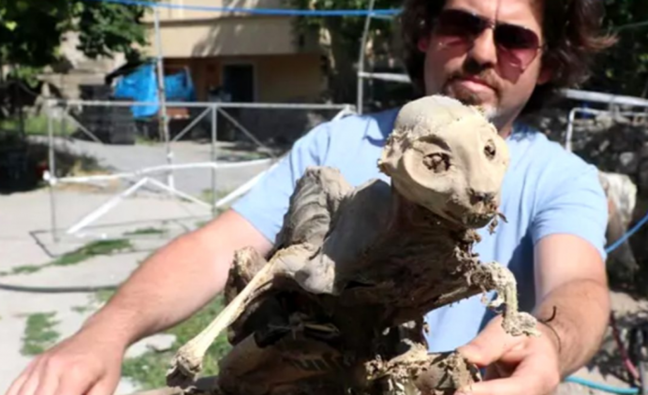 Evinin bodrumunda tahtaya yapışmış iskelet buldu: 'Böyle bir şey ilk kez görüyorum'