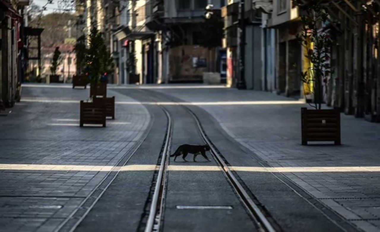 İçişleri Bakanlığı'ndan sokağa çıkma yasağı ve YKS açıklaması
