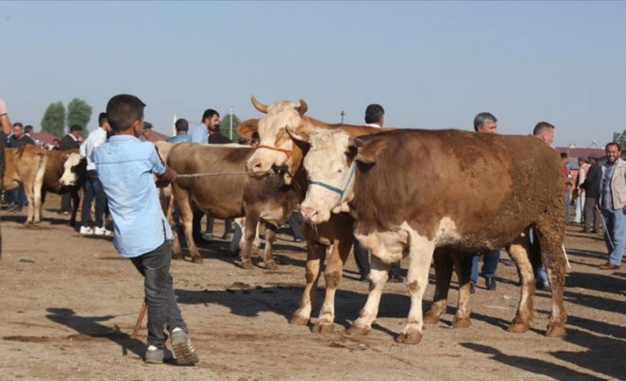 Kurban Bayramı ceza bayramına dönüşebilir: İşte Kurban Bayramı kuralları