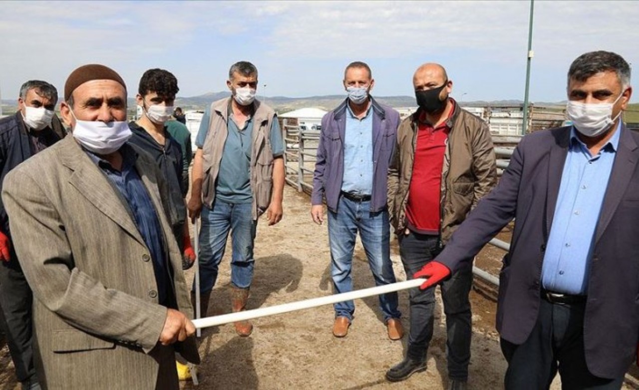 Kurban pazarlığında sopalı dönem!