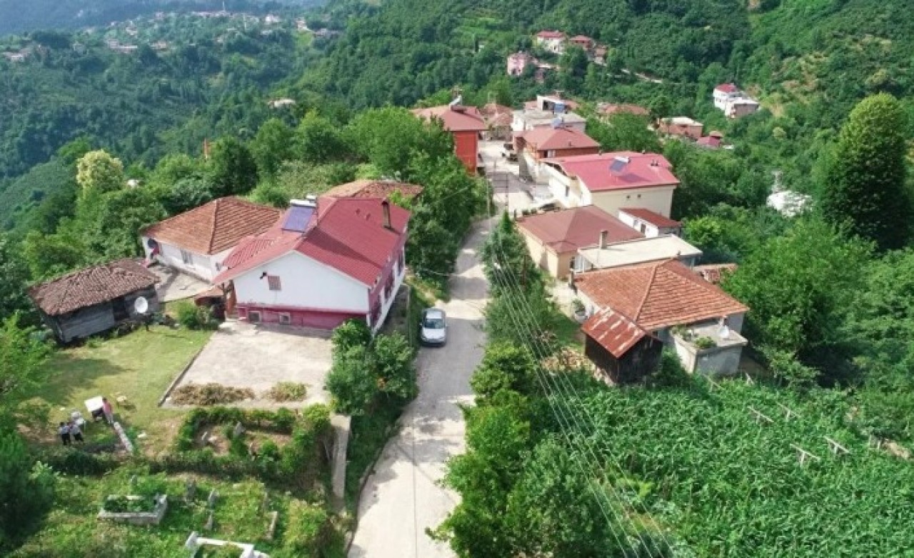 Ordu'daki Yazlık Mahallesi'nde herkesin soyadı aynı: Jandarma 1 kişiyi çağırıyor 10 kişi geliyor