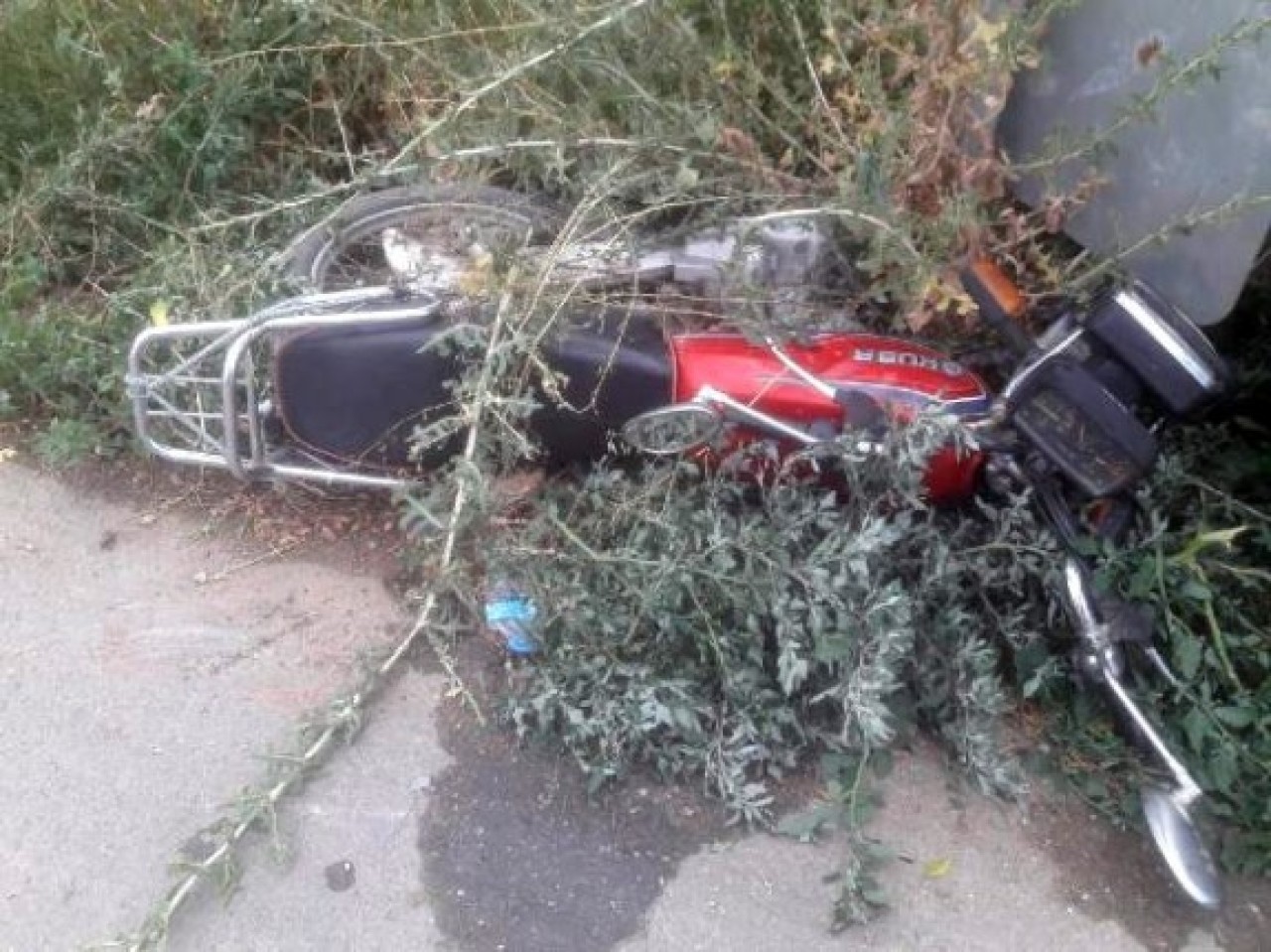 11 gün süren yaşam mücadelesini kaybetti: Kısmet Toplu öldü