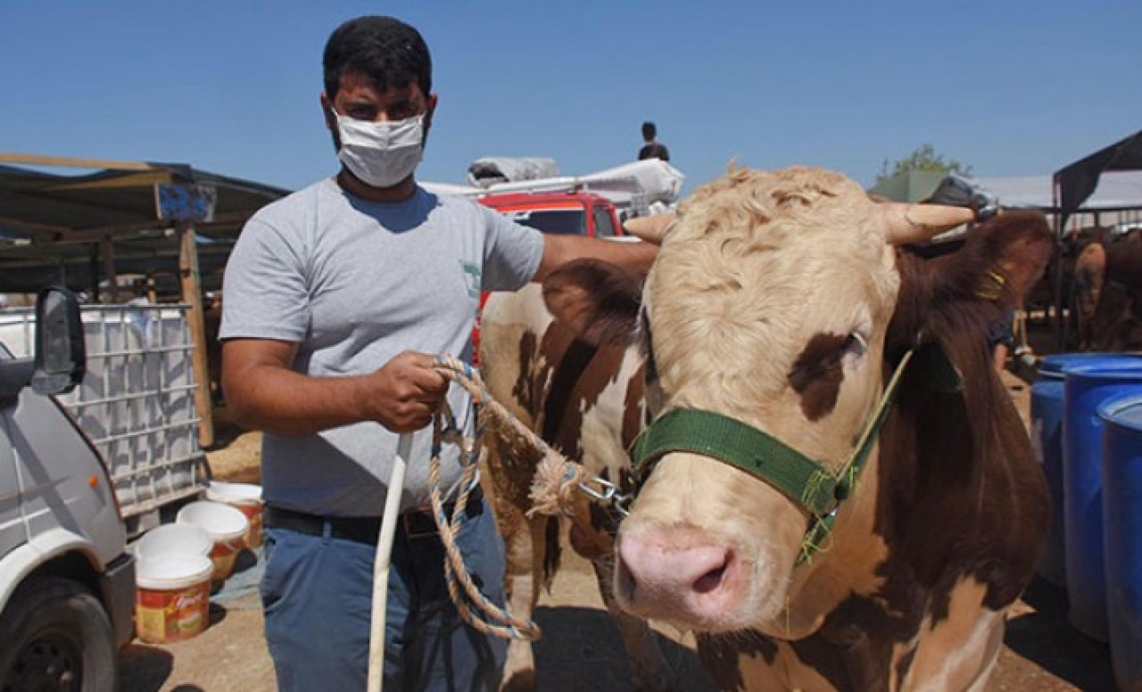 'Adanalı Ronaldo',  27 bin liraya satıldı