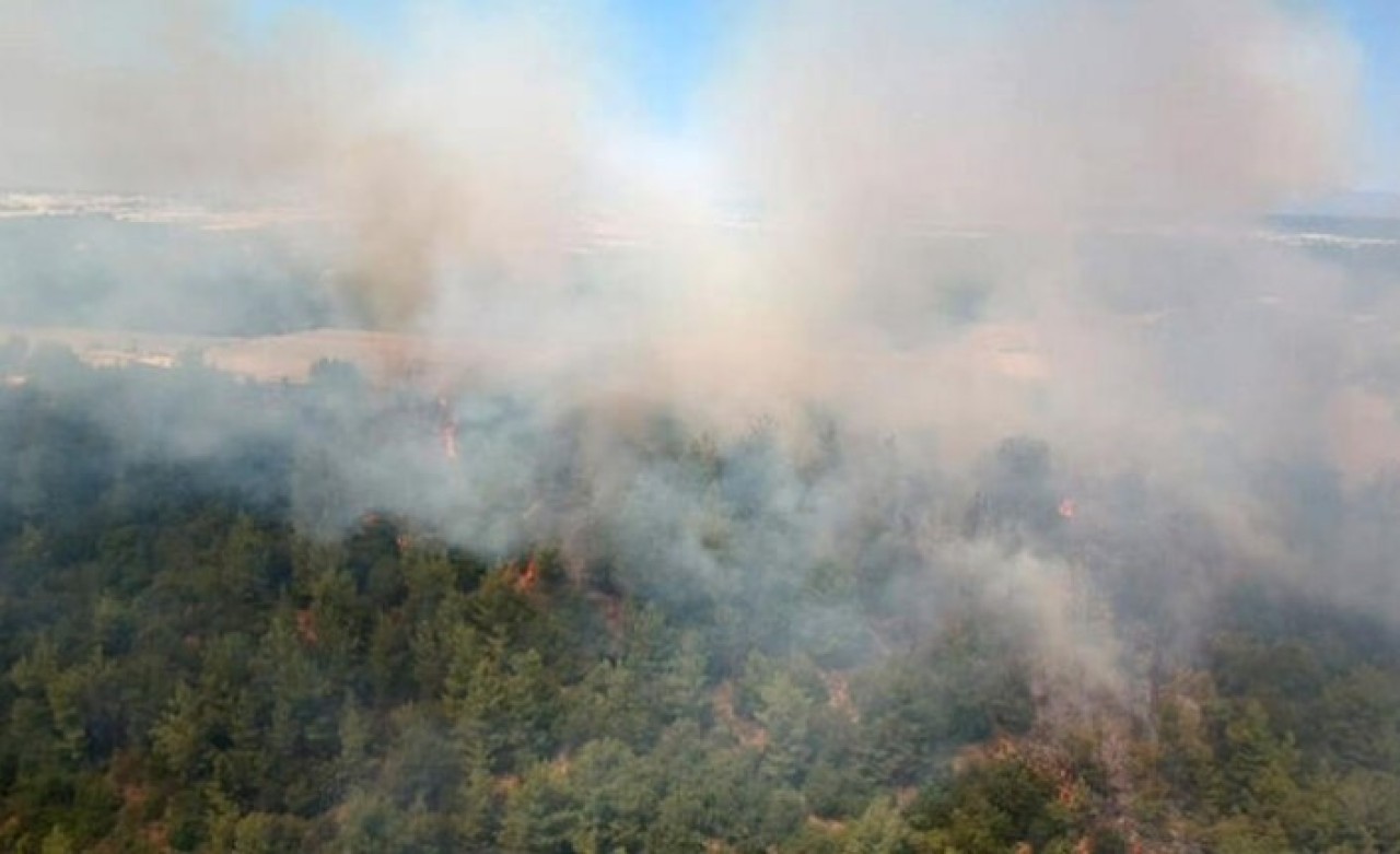 Antalya'da orman yangını
