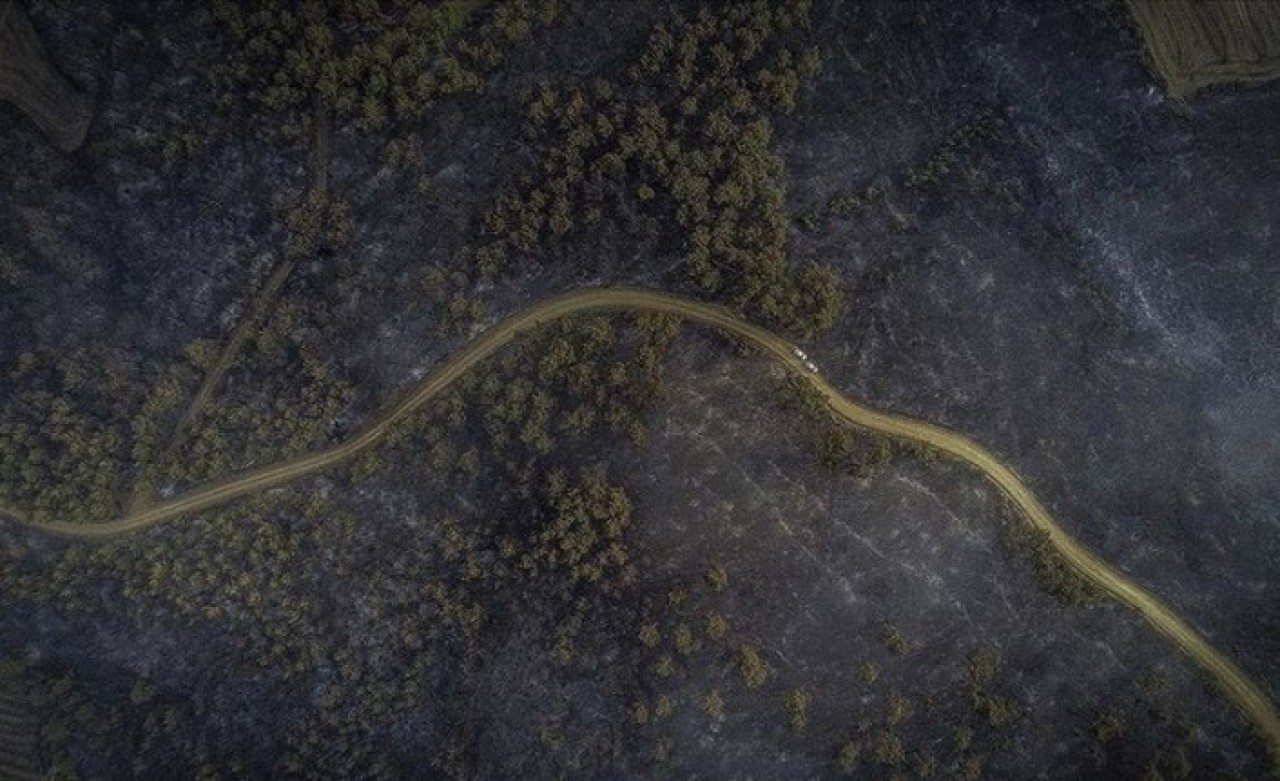 Bakan Pakdemirli'den 'Gelibolu' açıklaması: Yangın kontrol altında