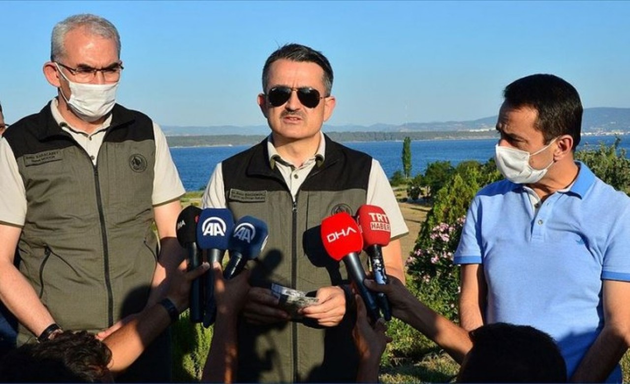 Bakan Pakdemirli açıkladı: 12 yerde yangın var