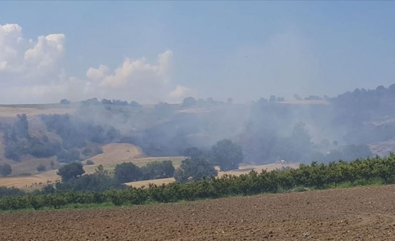 Çanakkale Kemel'de orman yangını