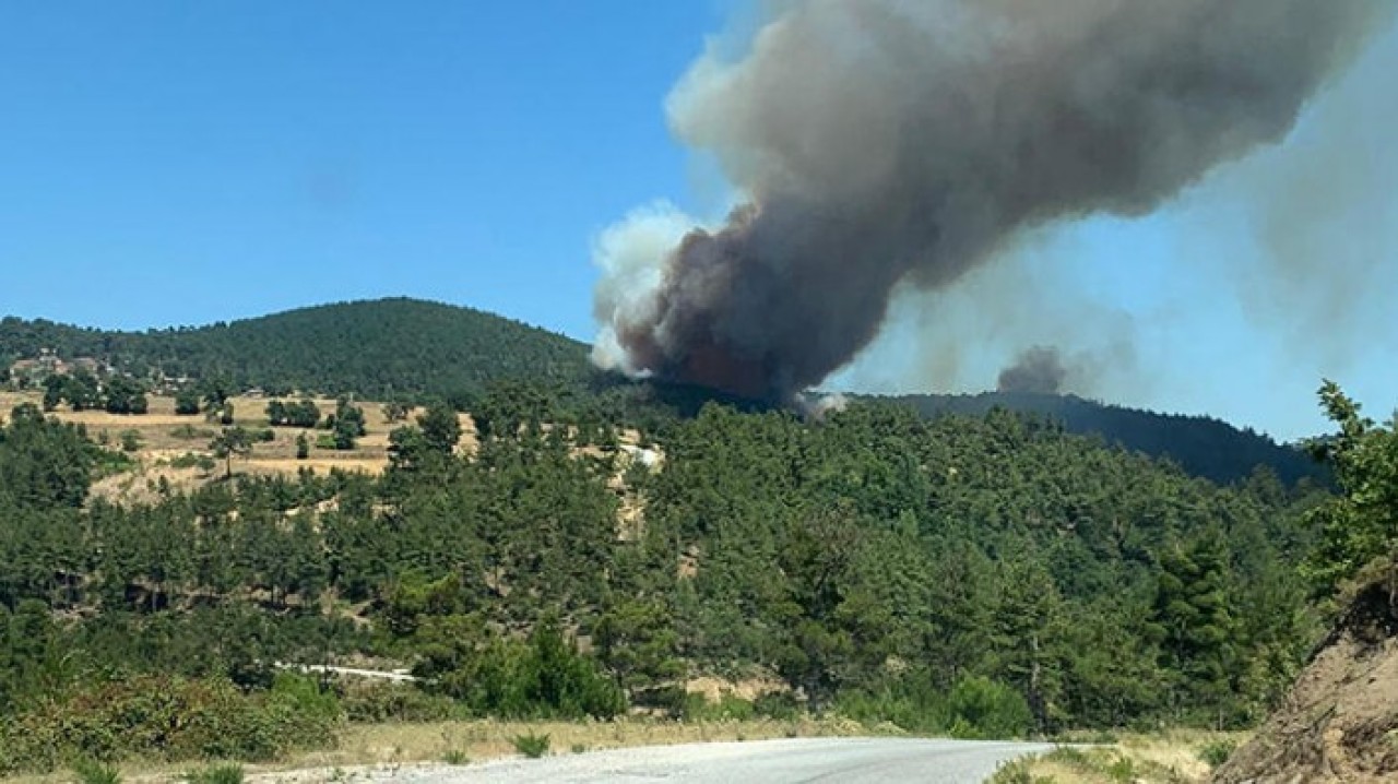 Çanakkale'de son bir ayda 3. yangın çıktı