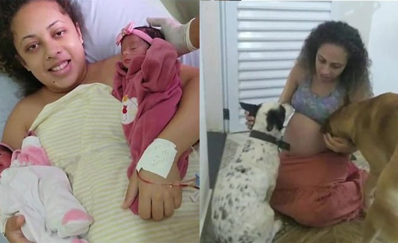 Dehşet verici olay: Evinde beslediği köpek ikiz bebeklerini öldürdü