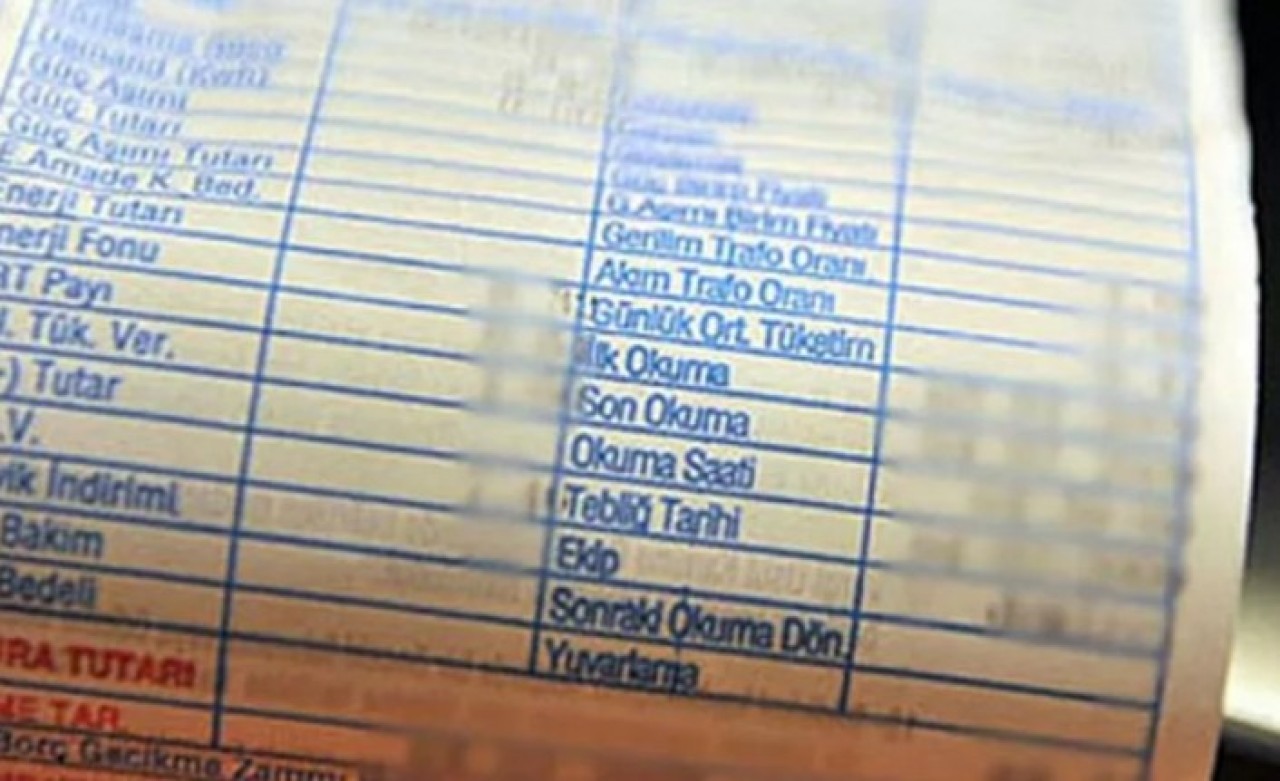 Elektrik faturasına itiraz etti,  ödediği parayı faiziyle geri aldı