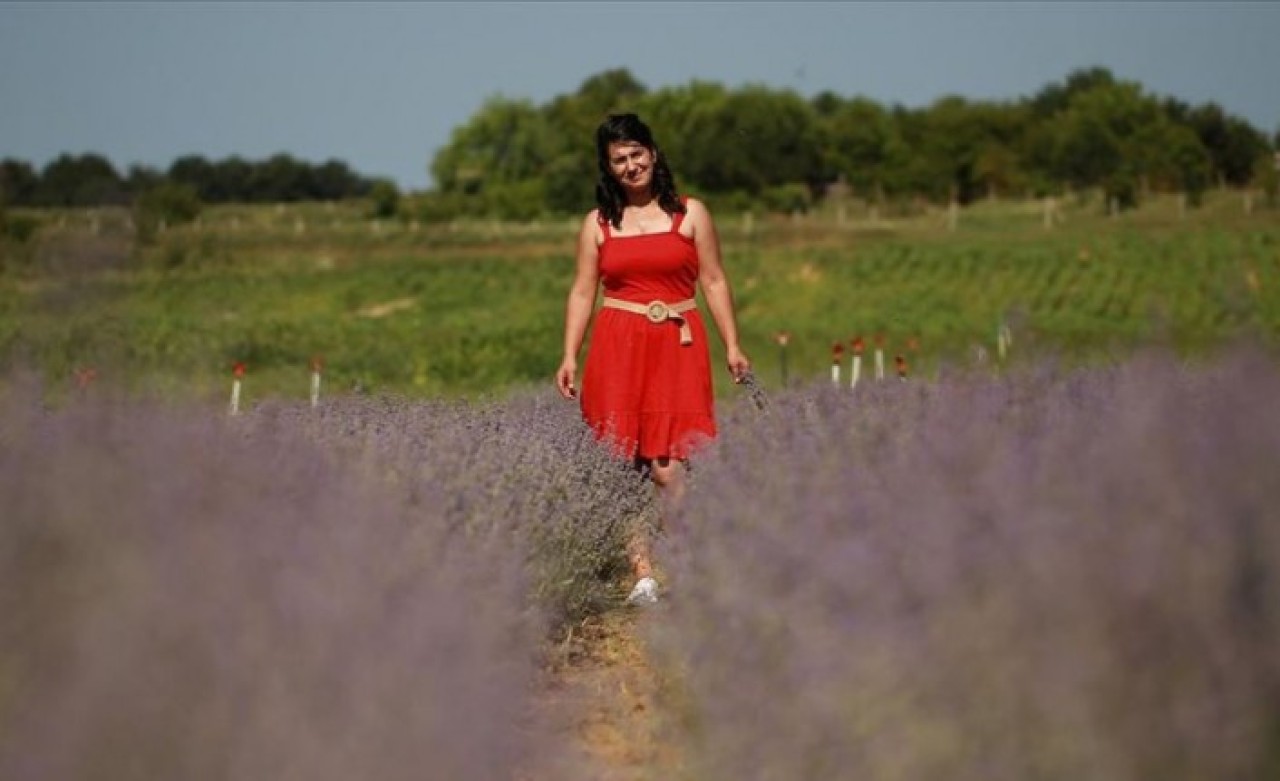 Fabrikadan ayrıldı,  kendi işini kurdu: Lavanta kraliçesi Ceyda Tülmen