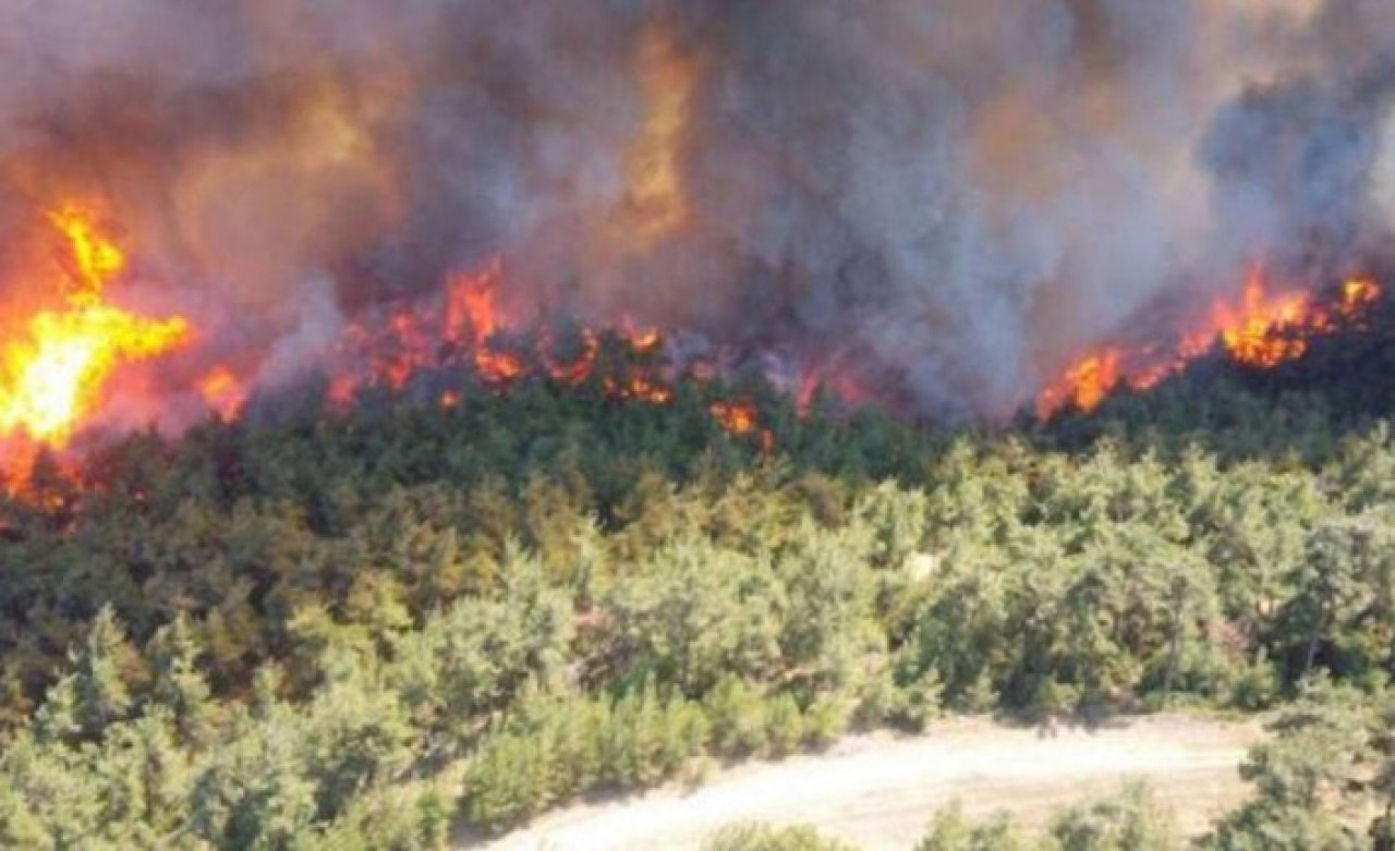 Gelibolu hala yanıyor: Bakan Pakdemirli'den son açıklamalar