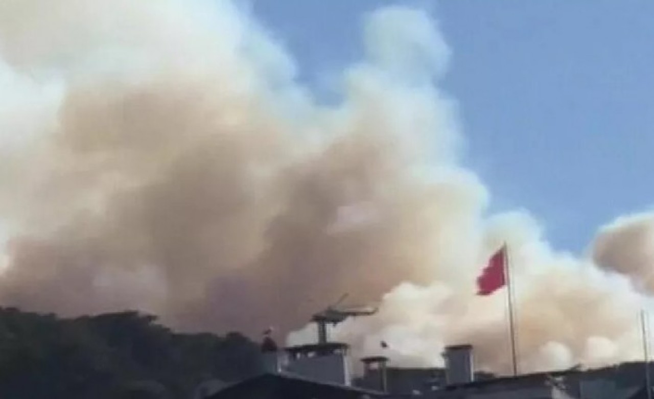 Heybeliada'da orman yangını