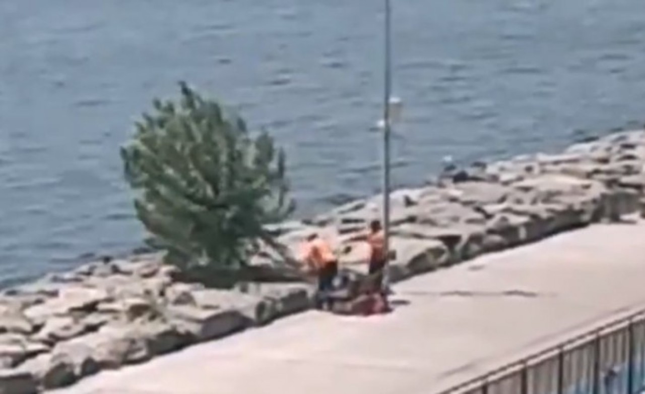 İBB ile Tevfik Göksu arasında yeni tartışma: O ağacı kim kesti?