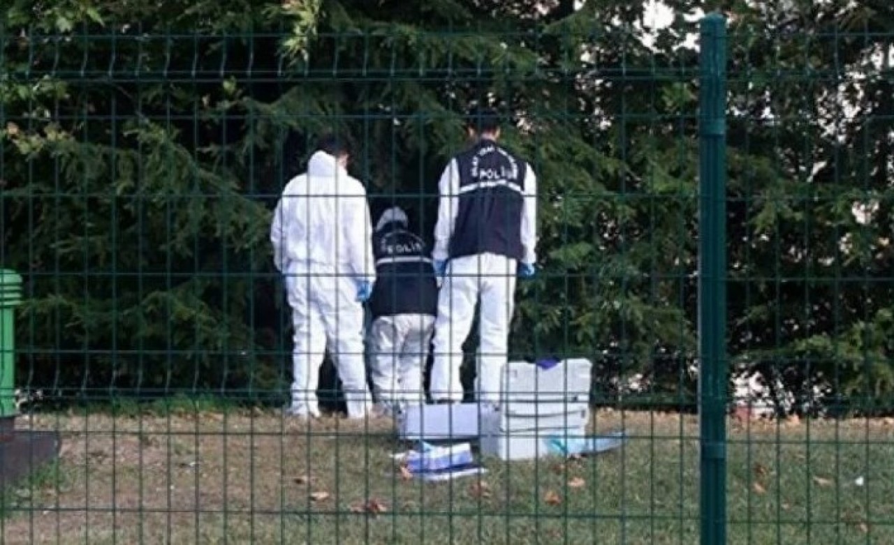 İstanbul'un göbeğinde ağaca asılı ceset bulundu
