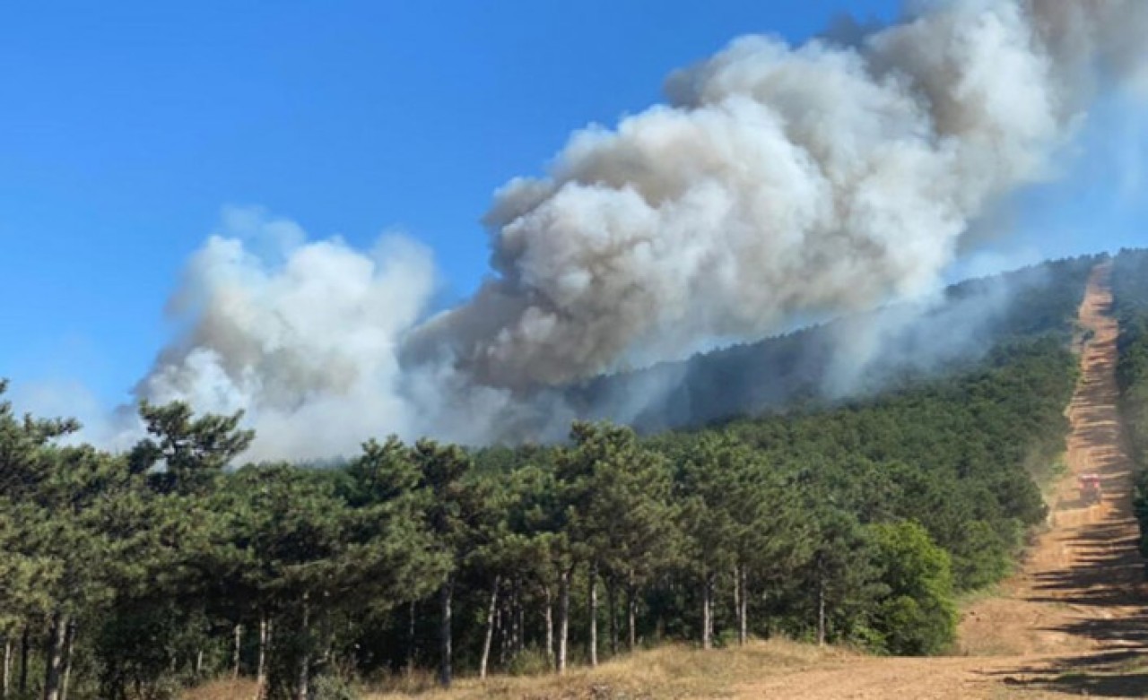İstanbul’da korkutan yangın: Helikopterler müdahale etti!