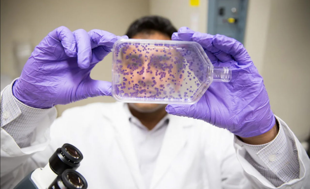 Kanser hastalığı mazi mi oluyor? Antikanser bulundu!