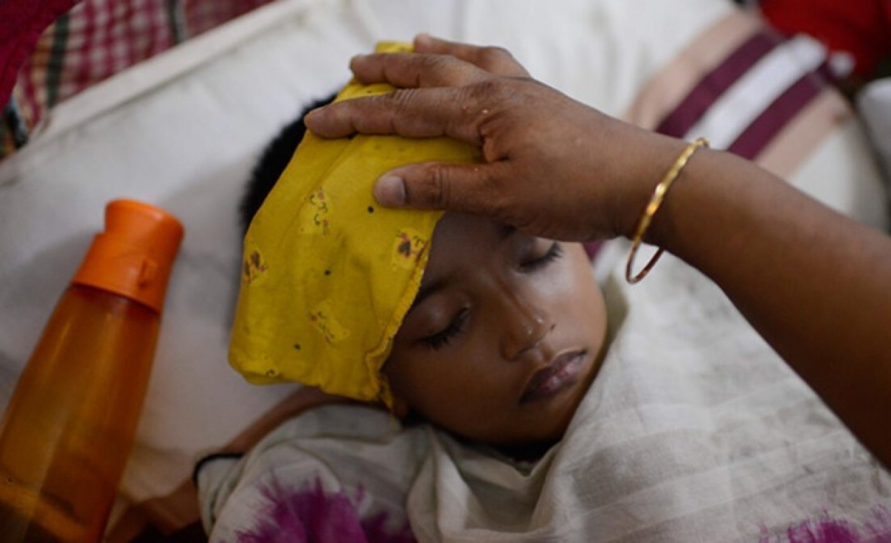 Koronavirüs salgınından sonra Deng humması paniği başladı!