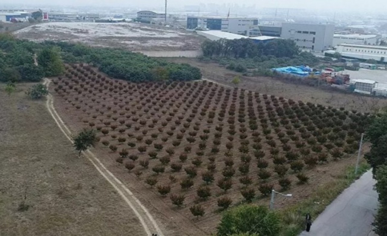 TOKİ,  yüzlerce arsayı açık artırma usulüyle satışa çıkarıyor