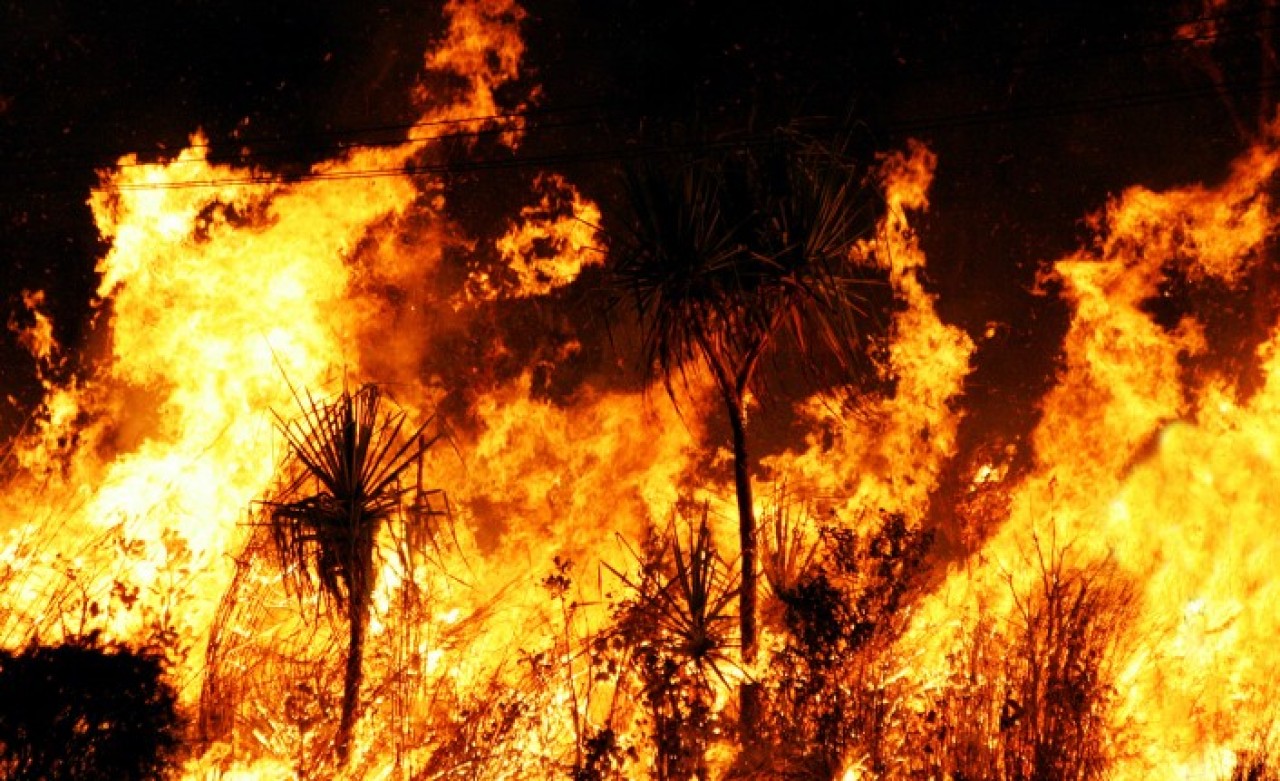 Türkiye yanıyor: Her yer alev alev,  1 günde 24 yangın