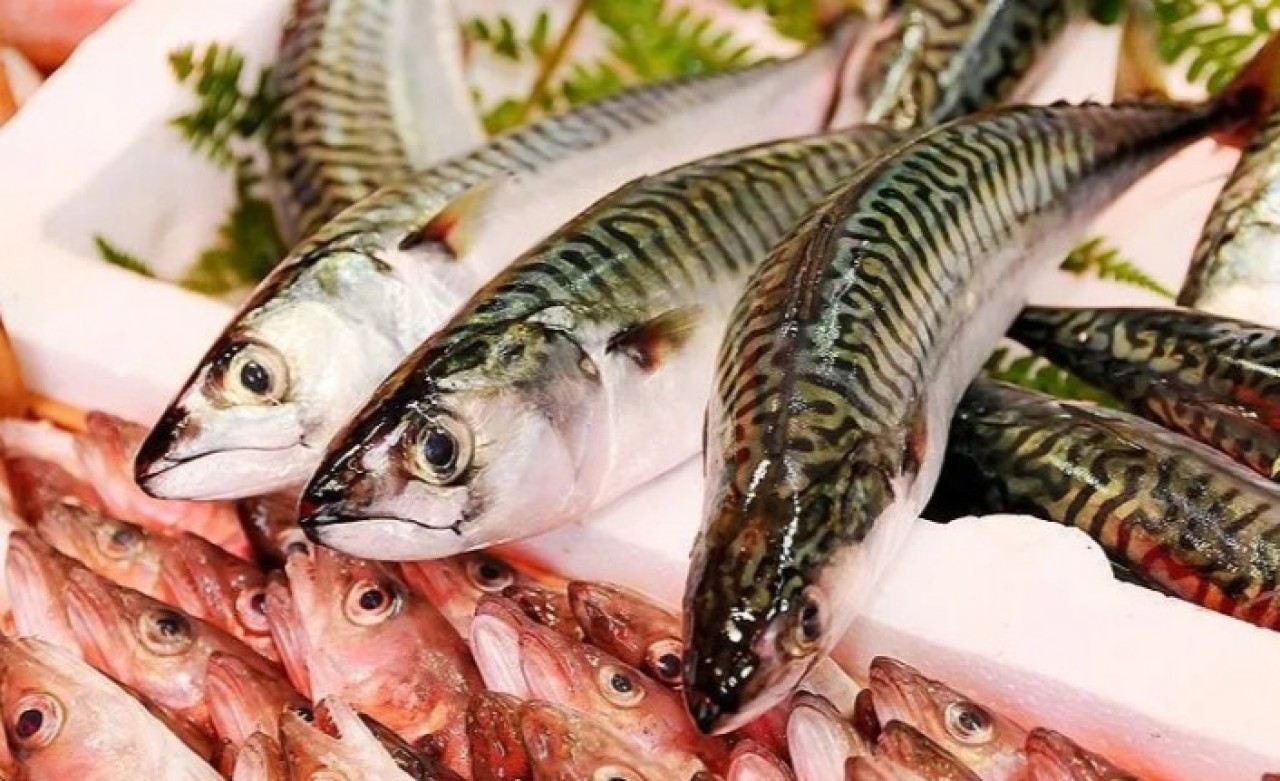 Halden aldım 3.5 lira restoranda yedim 110 lira