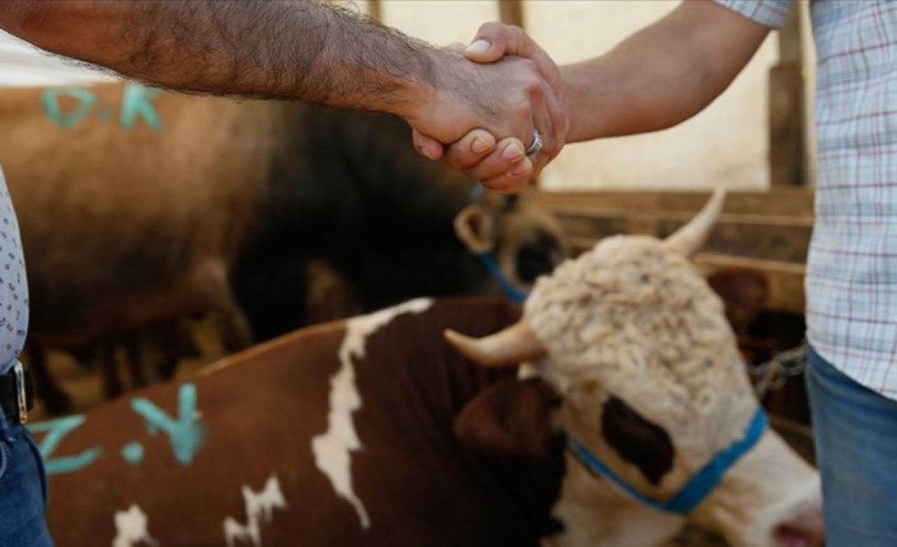 Uzmandan 'hileli kurban' uyarısı: Bunlara dikkat!