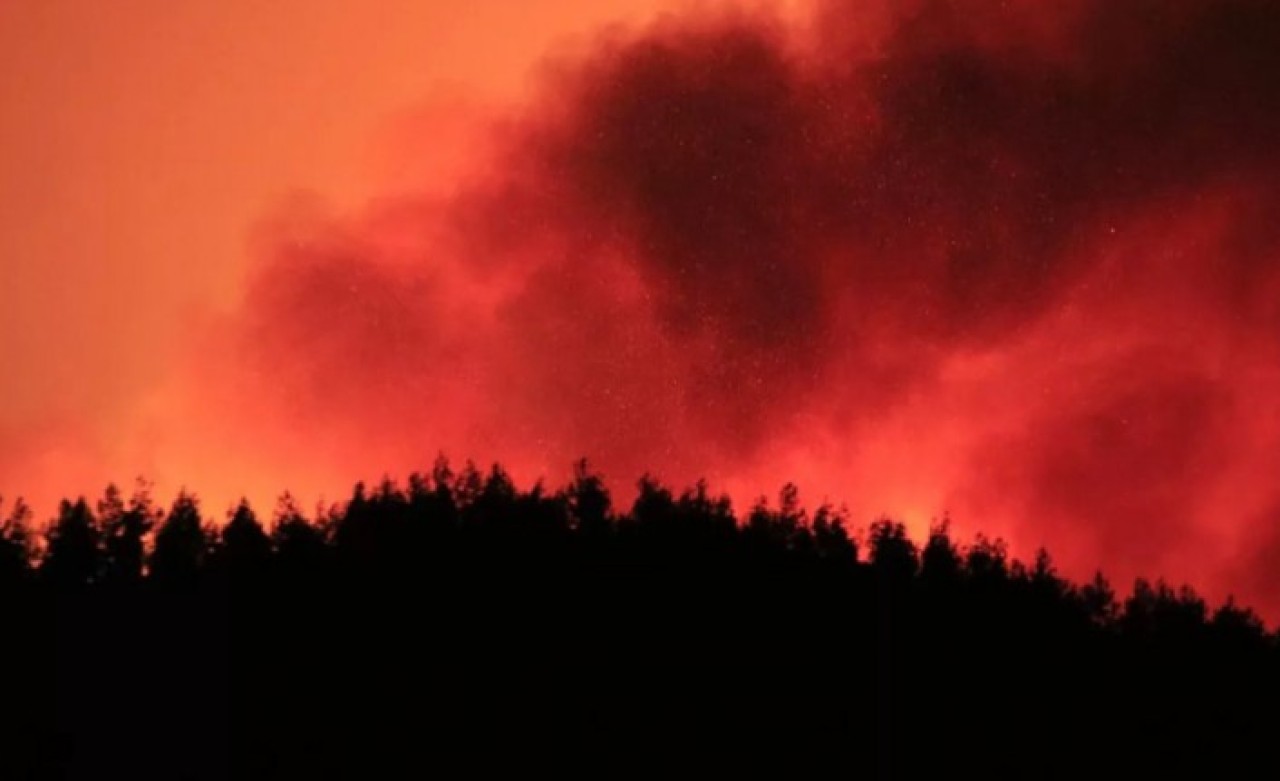 Adana'da orman yangını: 6 köy ve 800 hane boşaltıldı!