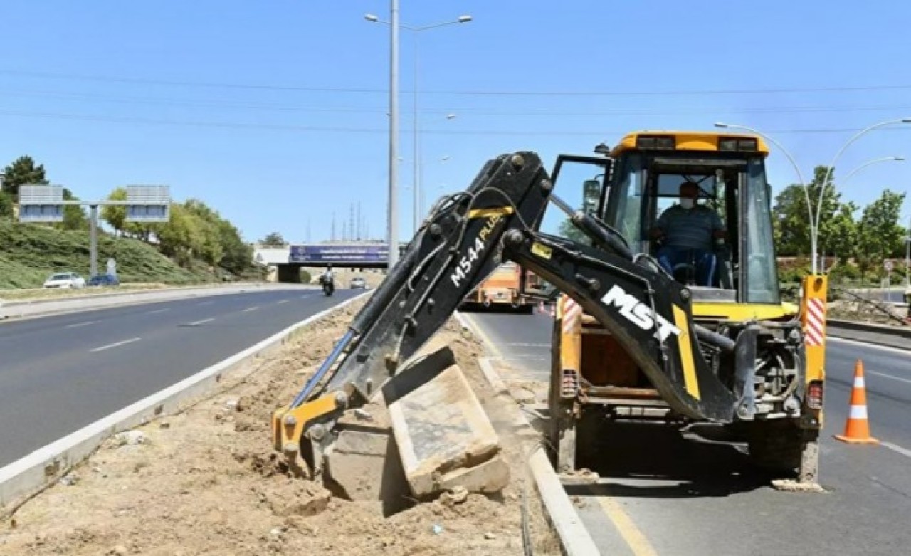 Ankara'da ağaçların kurumasıyla ilgili açıklama geldi: Sebebi sulamamak değil altına atılmış beton