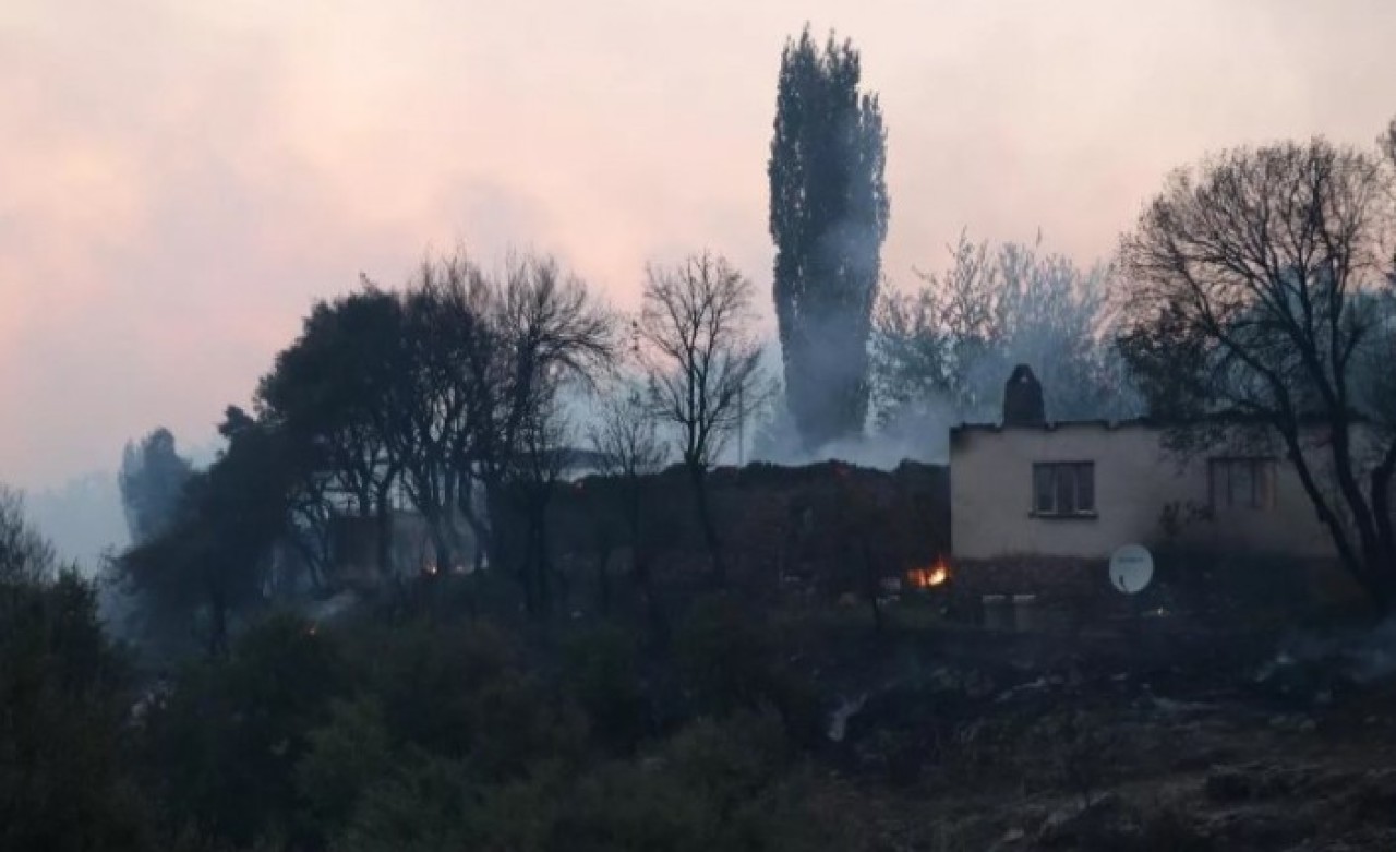 Aydın'da başladı,  Muğla'ya kadar ulaştı! Felaketin boyutu gün ağırınca ortaya çıktı