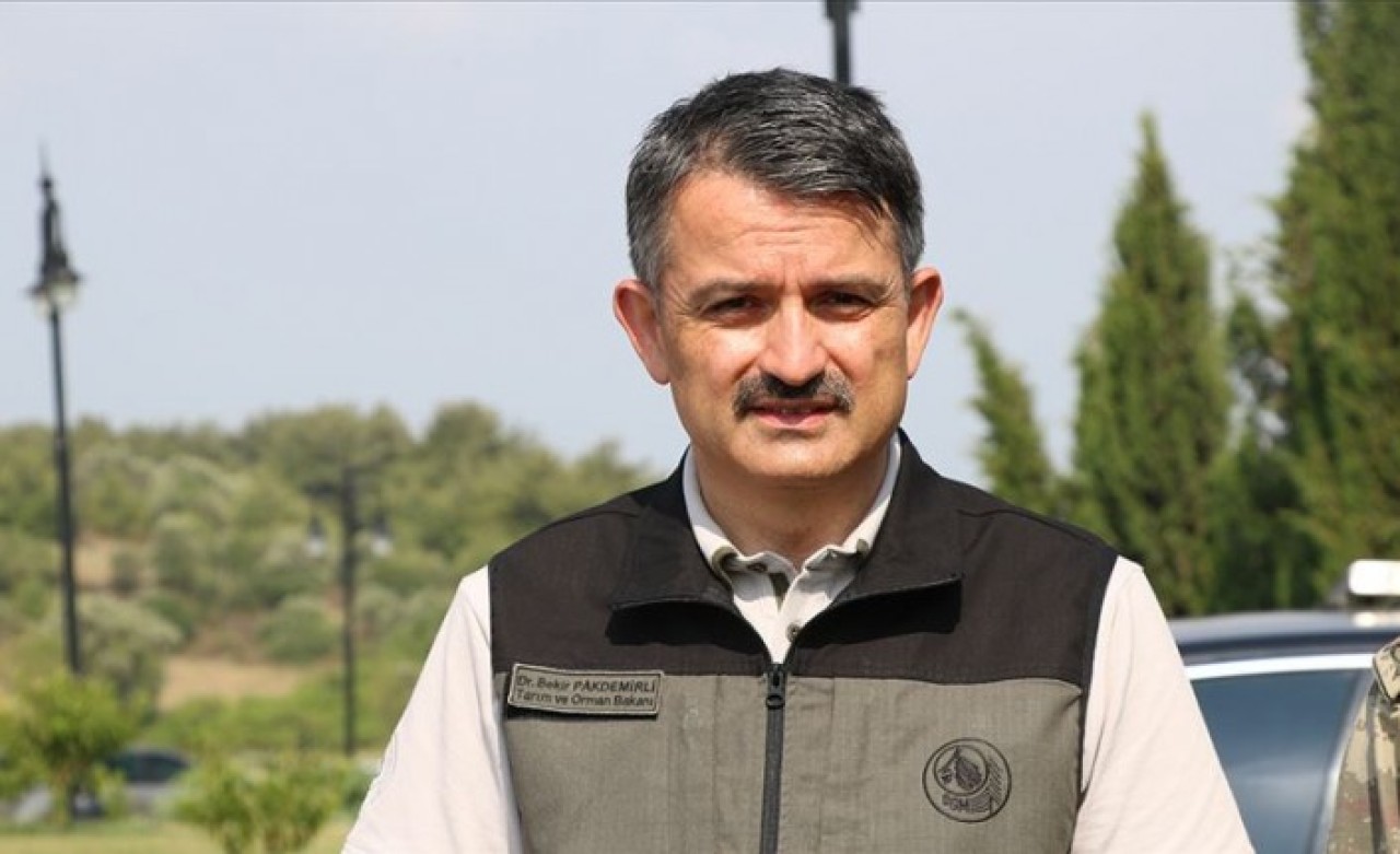 Bakan Pakdemirli: Adana'daki orman yangını kontrol altına alındı