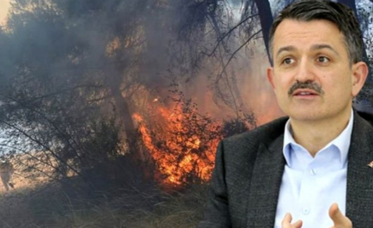 Ormanları kim yakıyor: Bakan Pakdemirli'den flaş açıklama