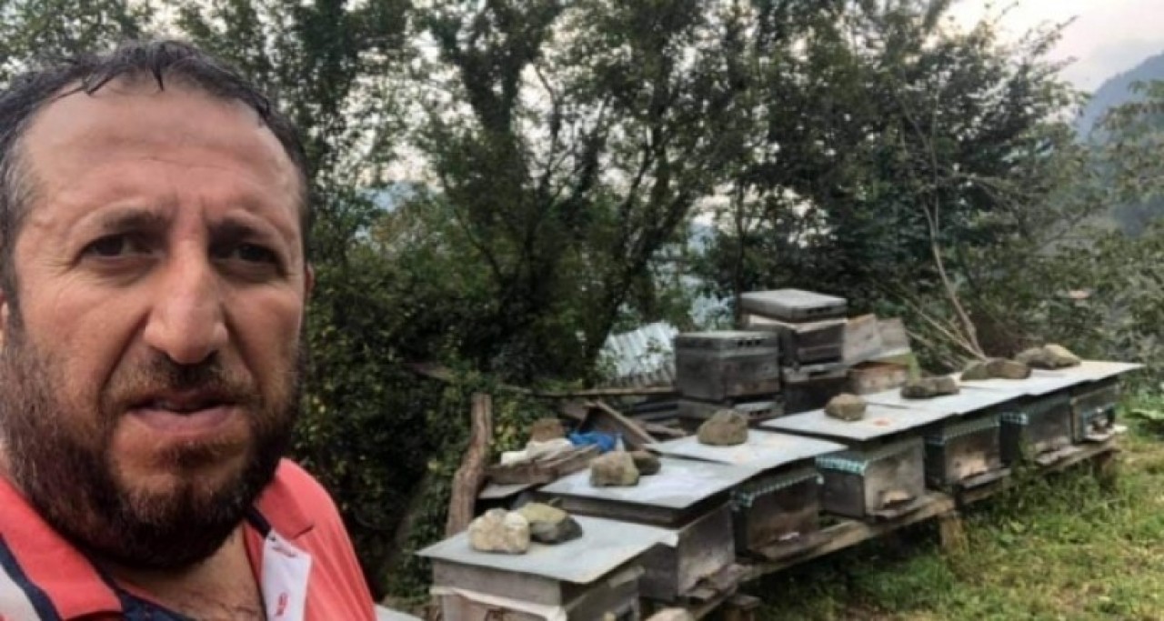 Bal üreticisini arı soktu: İlyas Pistil öldü