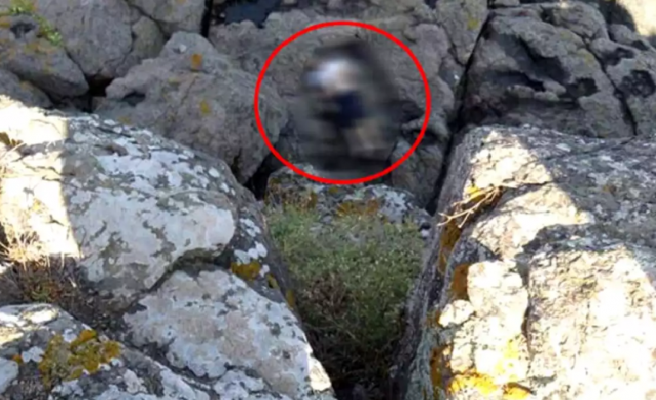 Beykoz'da kampa gitti: Cengiz Demir kayalıklarda ölü bulundu!