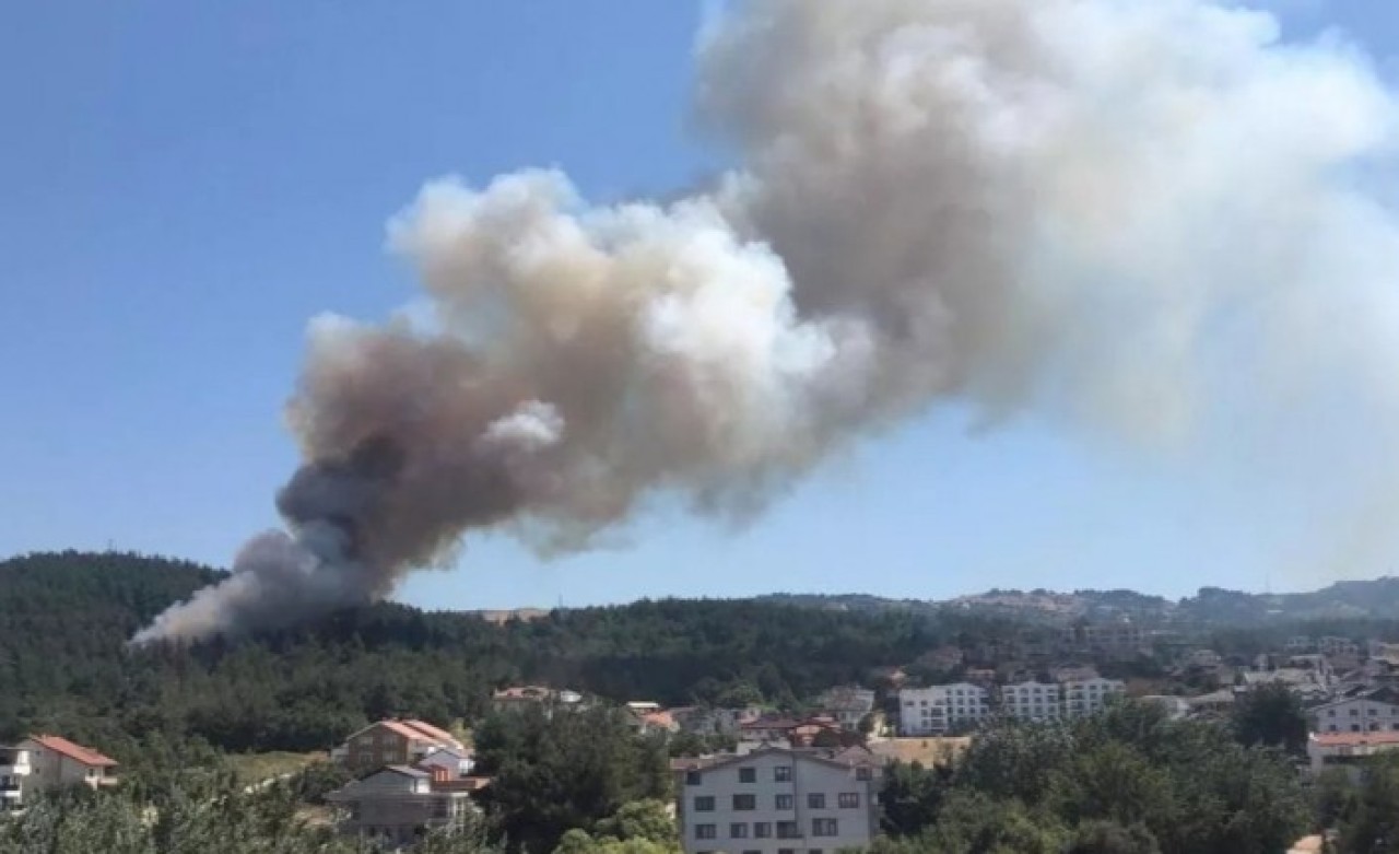 Bursa ve Adana'da orman yangını