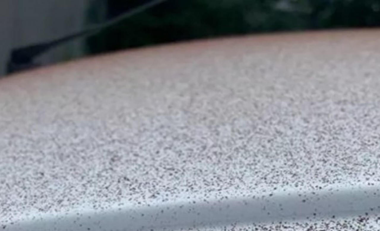 Çikolata fabrikasında arıza: Çevreye 'çikolata yağmuru' yağdı