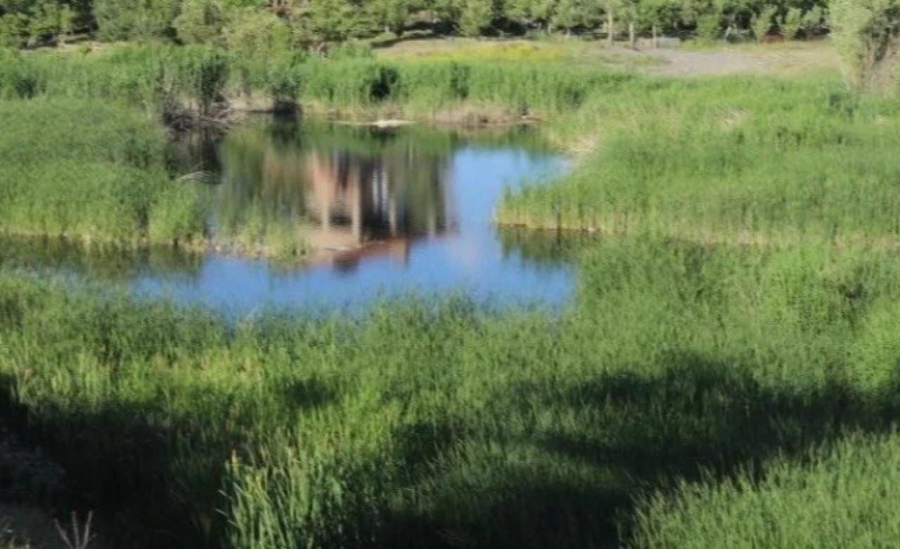 Hakkari'de gölette kadın cesedi bulundu