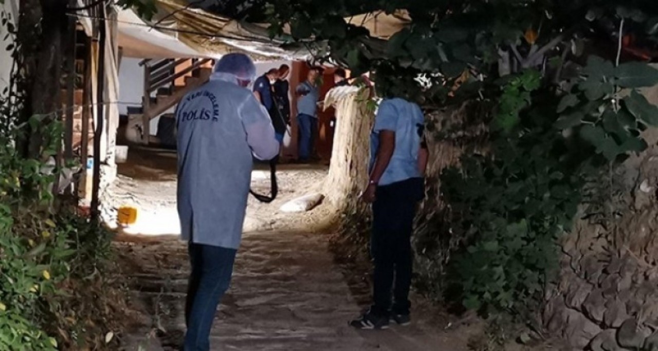 Kamalı üvey amca dehşeti: Ali Kılınç öldü